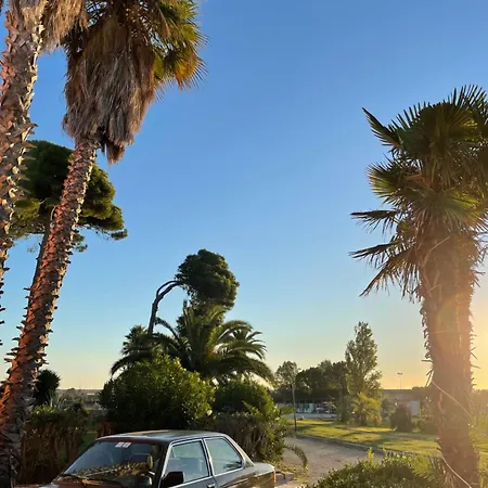 Il Monte Agriresort Séjour à la ferme